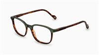 Montura de gafas Etnia Barcelona Hombre UTZON 52OGRHV GREEN HAVANA145 - UTZON 52OGRHV GREEN HAVANA145